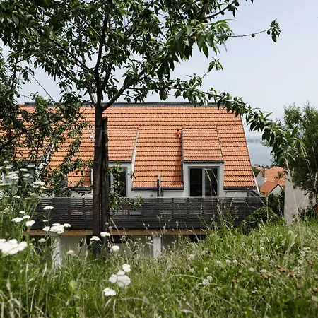 Apartament Pavlove